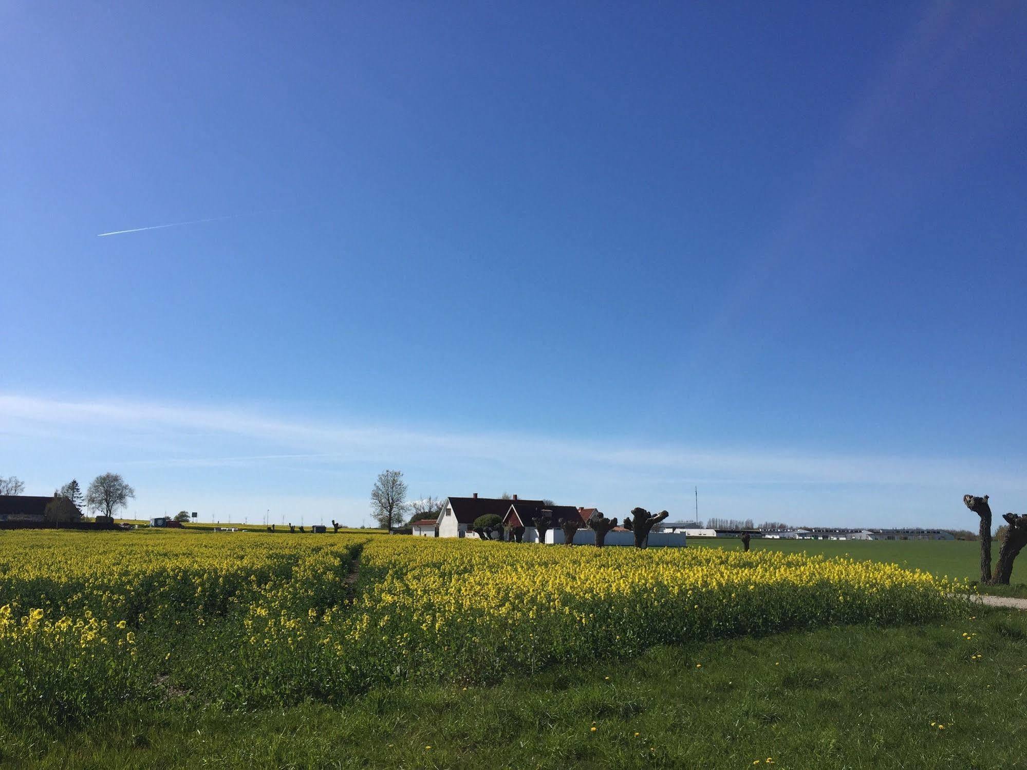 Hotell Vellingebacken Esterno foto